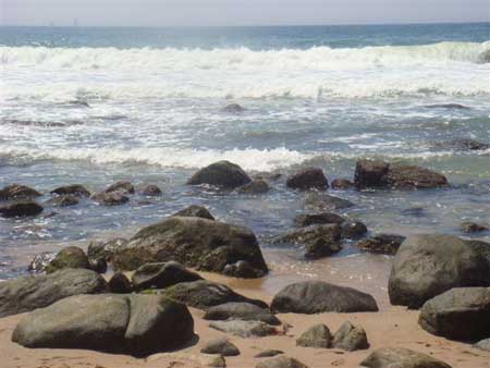 DSC02910
